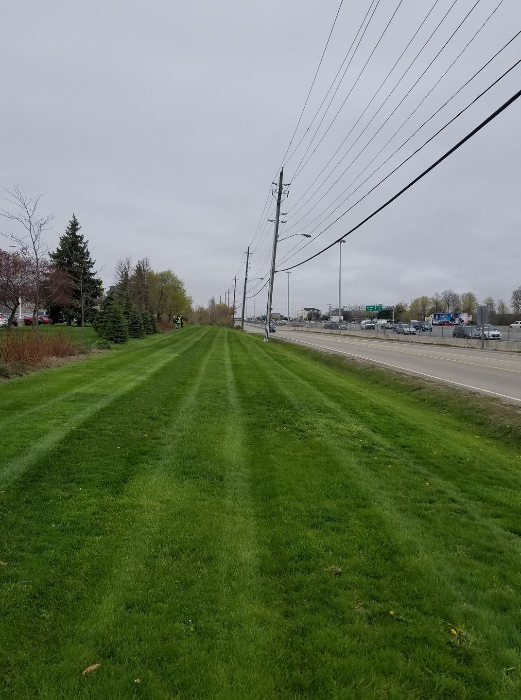 Lawn with freshly cut stripes next to a road with utility poles and power lines under an overcast sky.