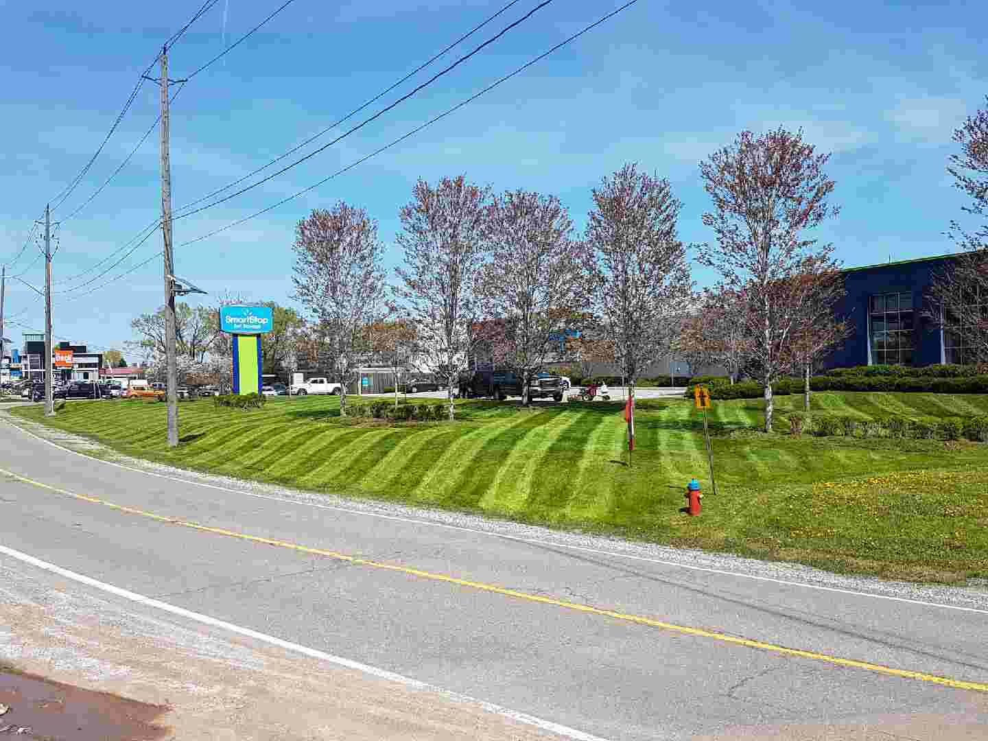 There is a fire hydrant on the side of the road next to a lush green field.