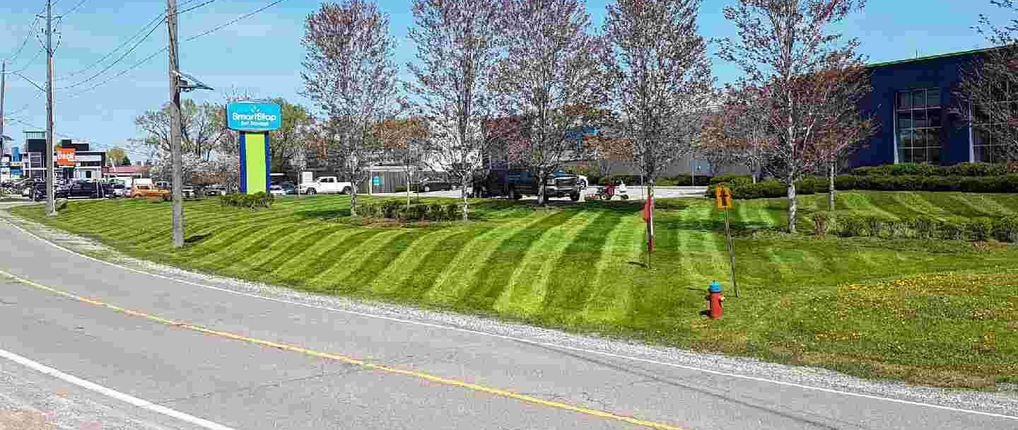 A fire hydrant is in the middle of a lush green field next to a road.