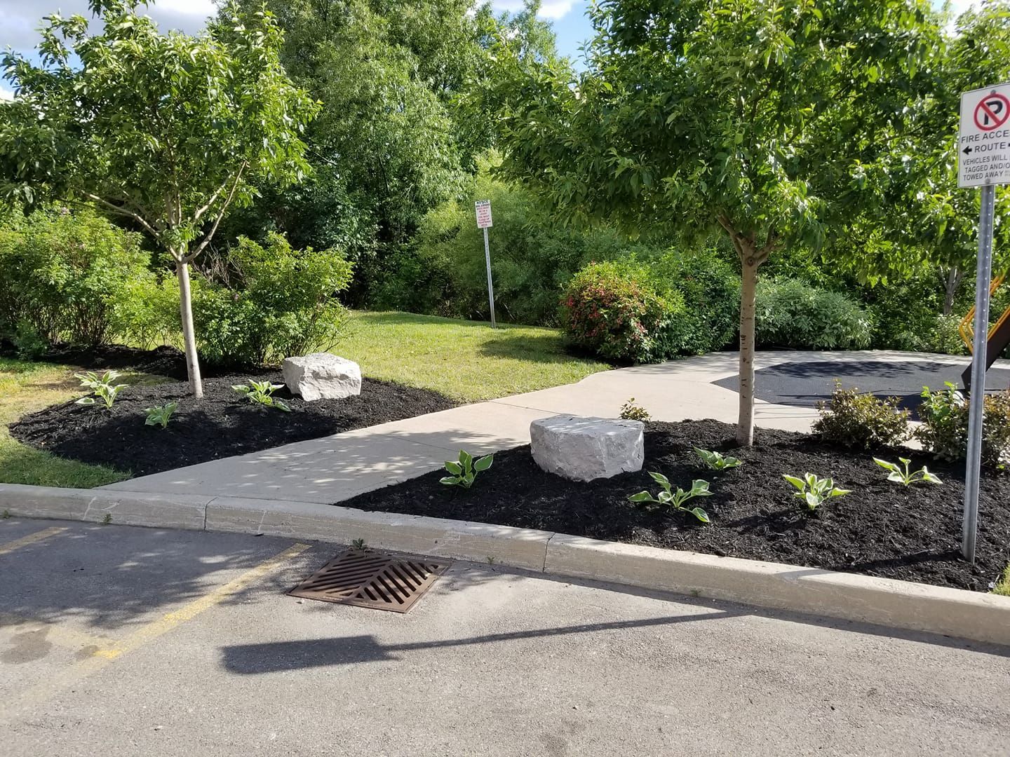 Landscaped area with concrete walkway, two trees, mulch beds, rocks, and greenery.