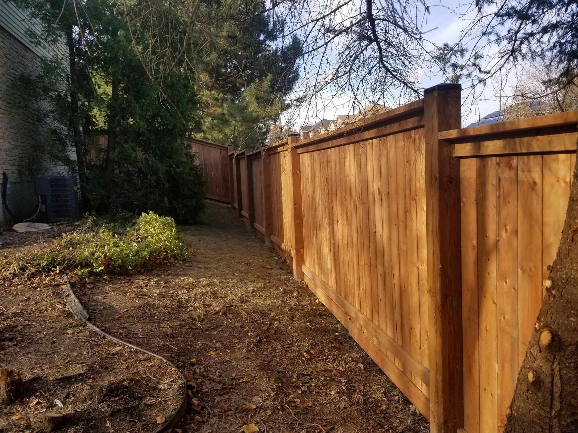 A wooden fence curves along a yard, with trees in the background. Brown, autumn colors.