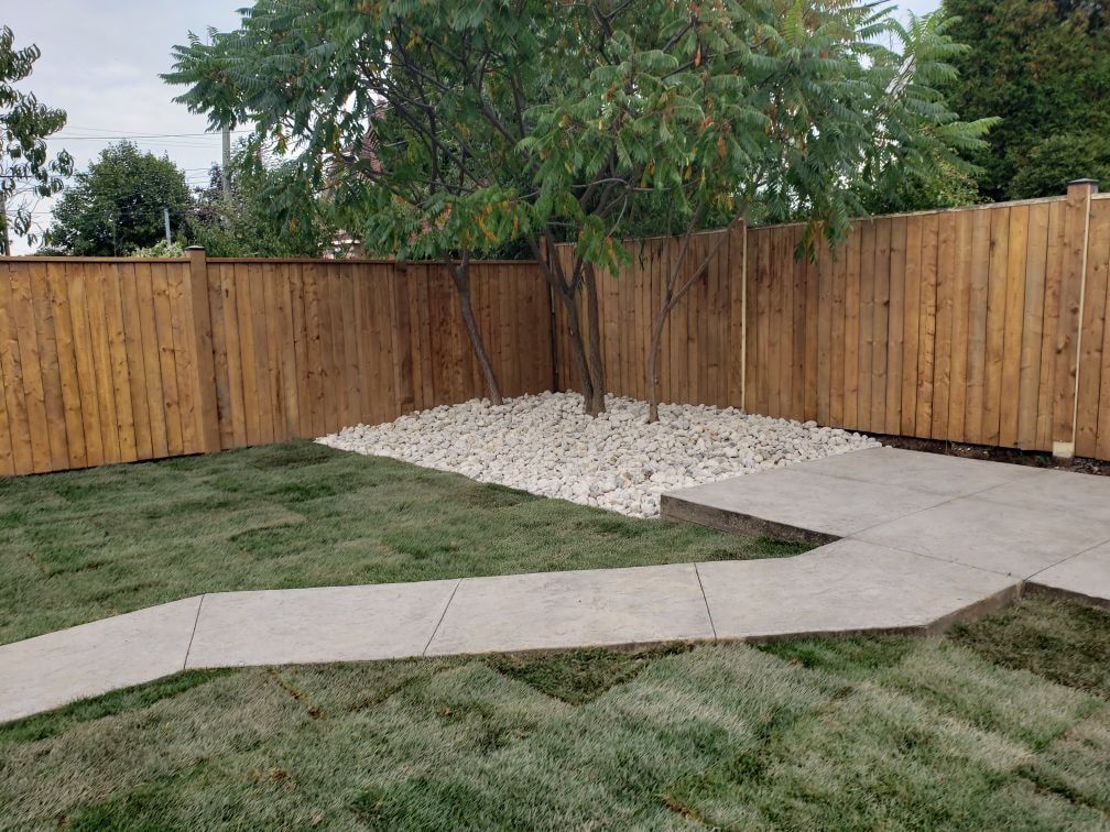 Backyard with tree surrounded by white rocks, lawn, wood fence, and concrete path.