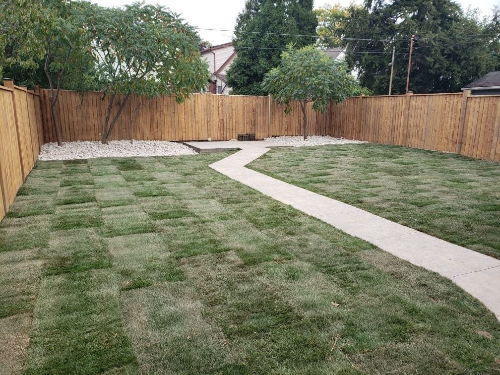 Green backyard with a concrete path, new sod, and a bamboo fence.