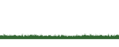 Spicer Landscaping & Snow Removal LOGO WHITE