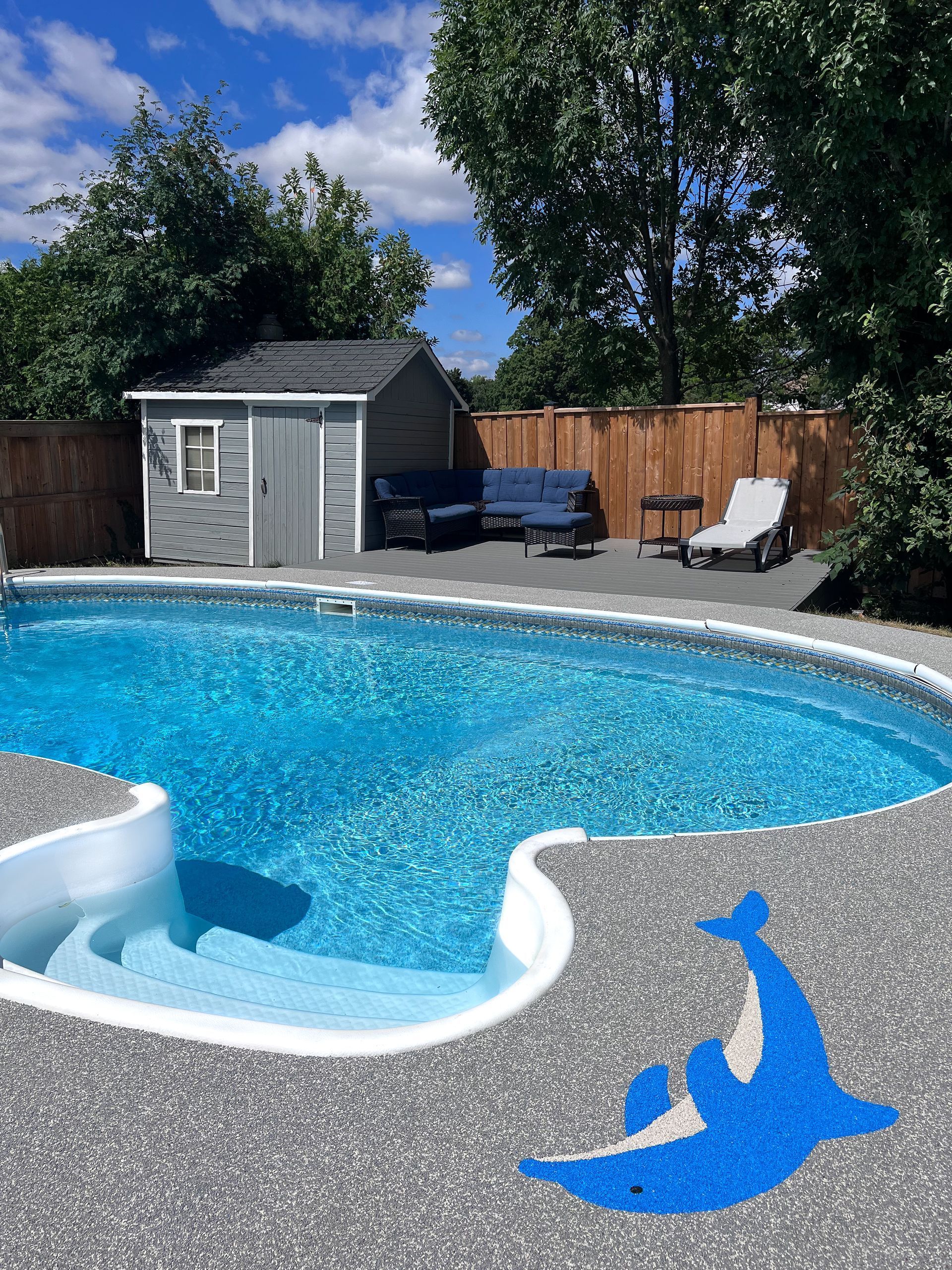 Backyard pool with gray pebble deck, dolphin mosaic, shed, and seating. Blue water and sky.