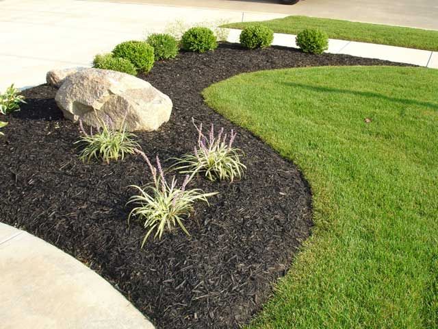 Flower bed with black mulch, large rock, green plants, and manicured lawn.