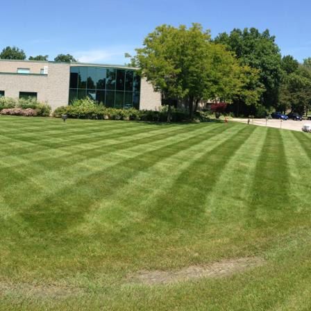 A large, well-manicured lawn with distinct mowing stripes in front of a modern commercial office building under a blue sky.