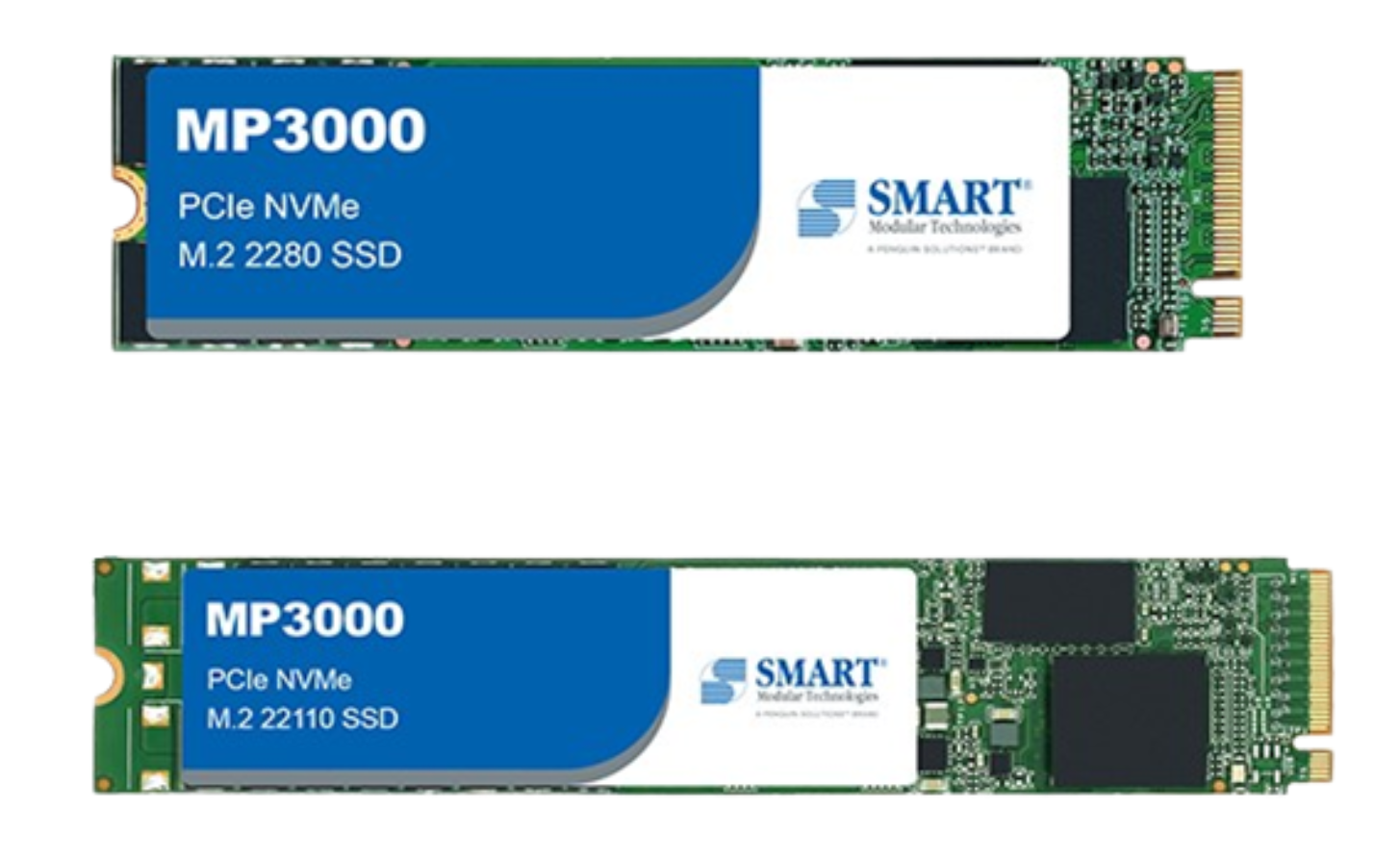 ACT POWER ACP M.2 2280 & 22110 SSD