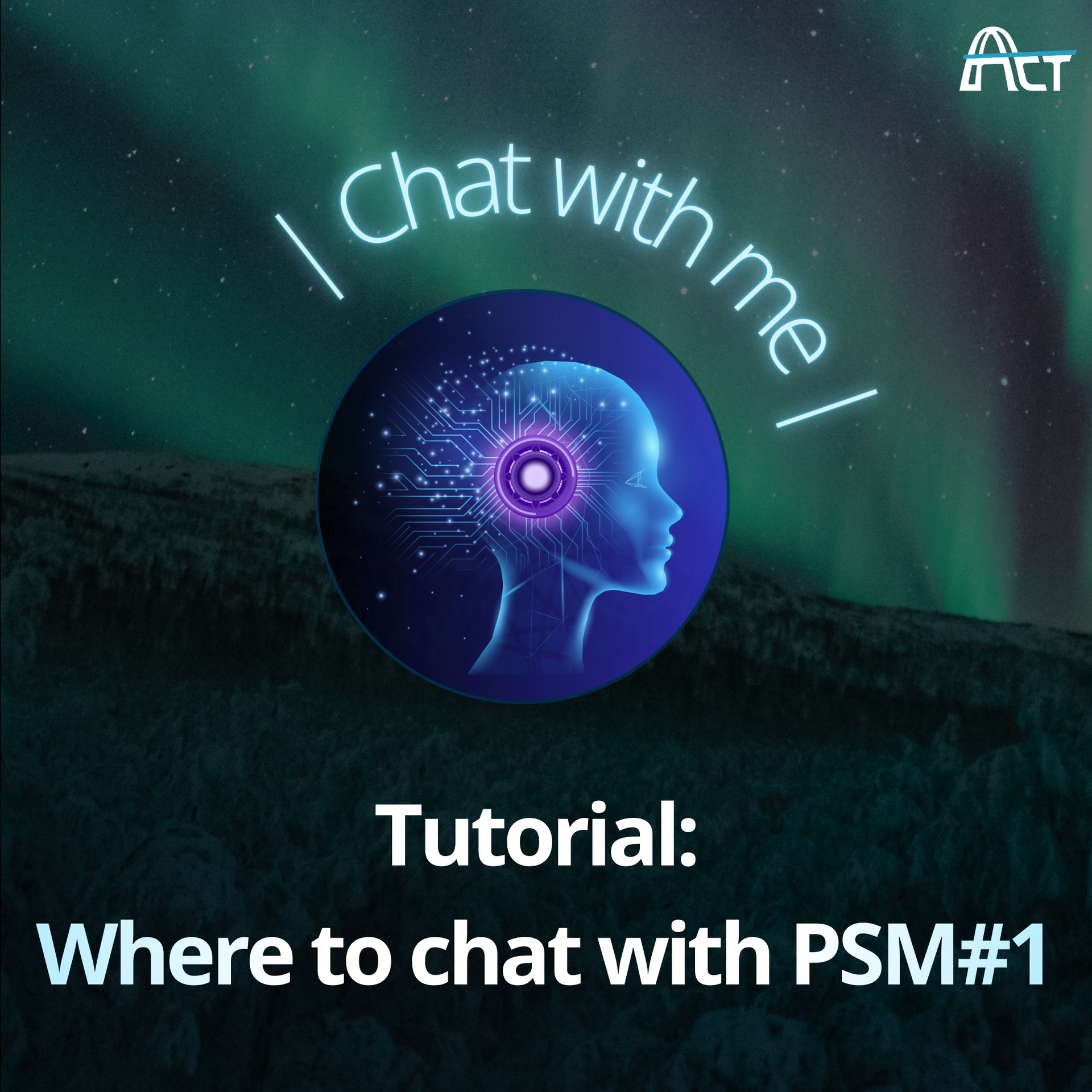 ACT POWER PSM1 Tutorial