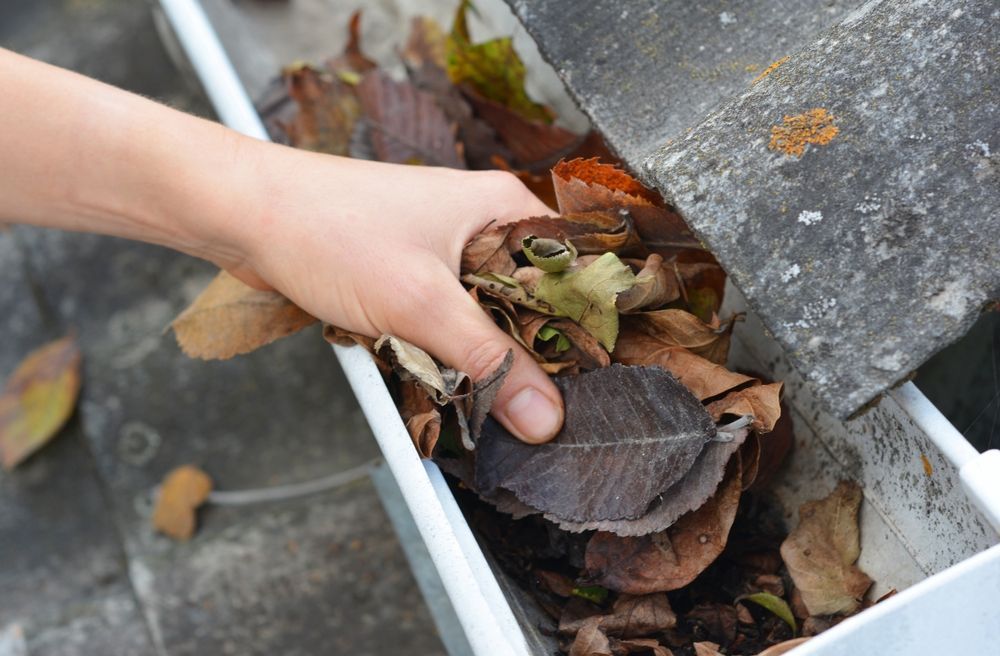 Hand reaching into a white gutter filled with dead leaves, clearing debris.