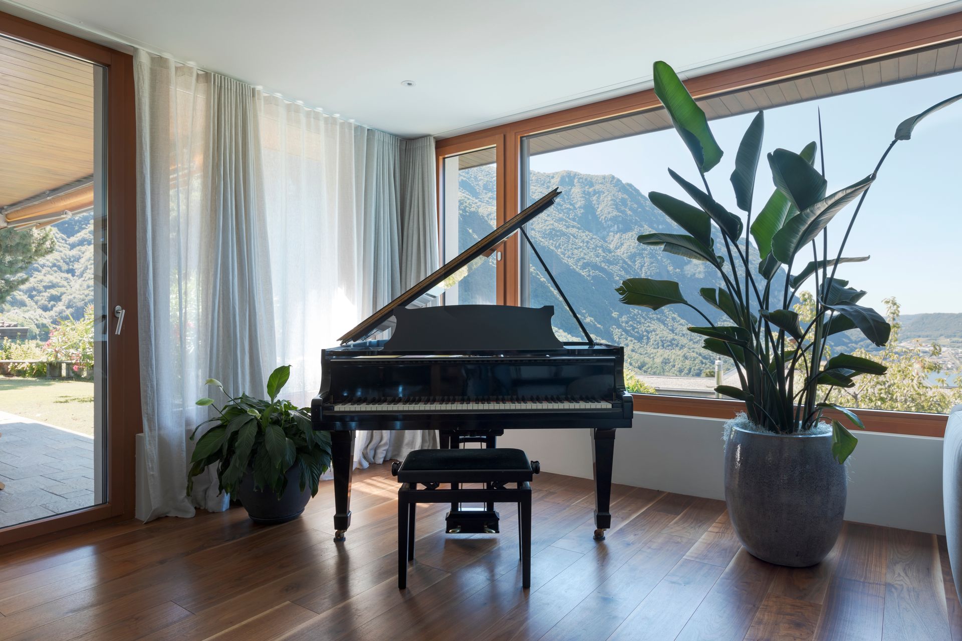 A grand piano is sitting in a living room next to a potted plant.