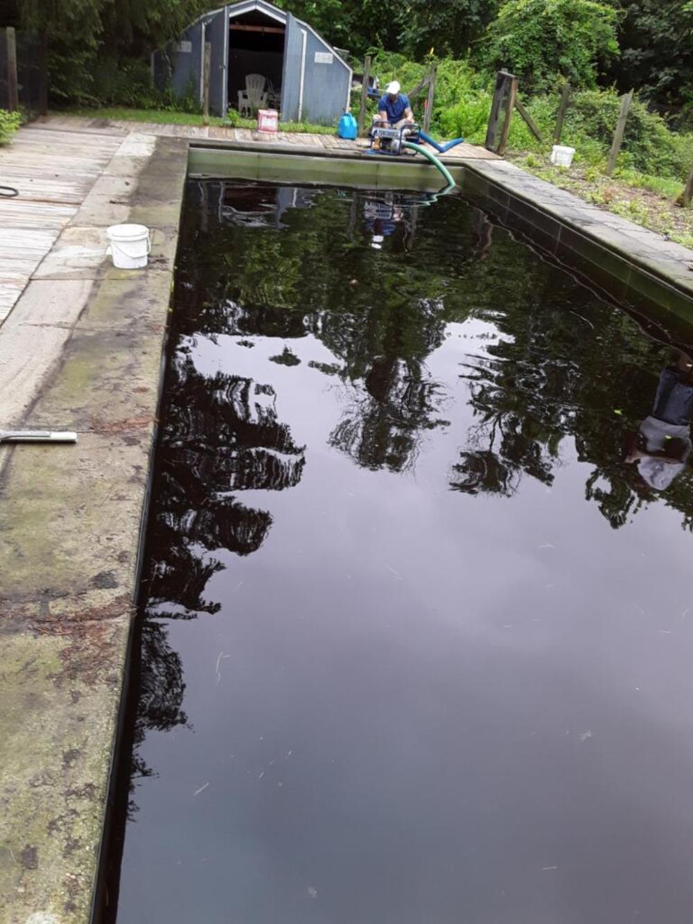 Distinctive Swimming Pools Inc