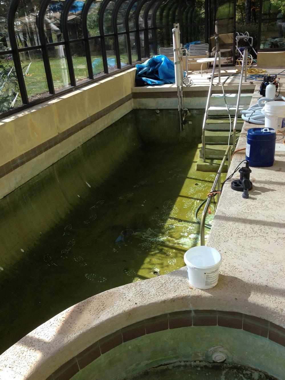 Distinctive Swimming Pools Inc