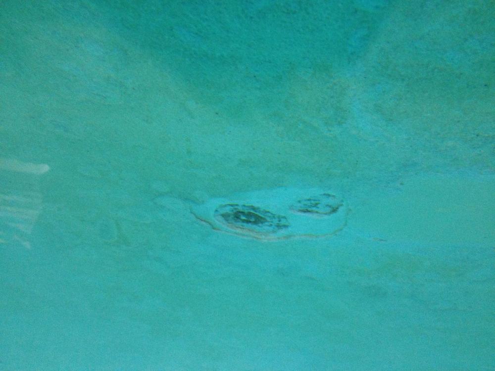 Distinctive Swimming Pools Inc