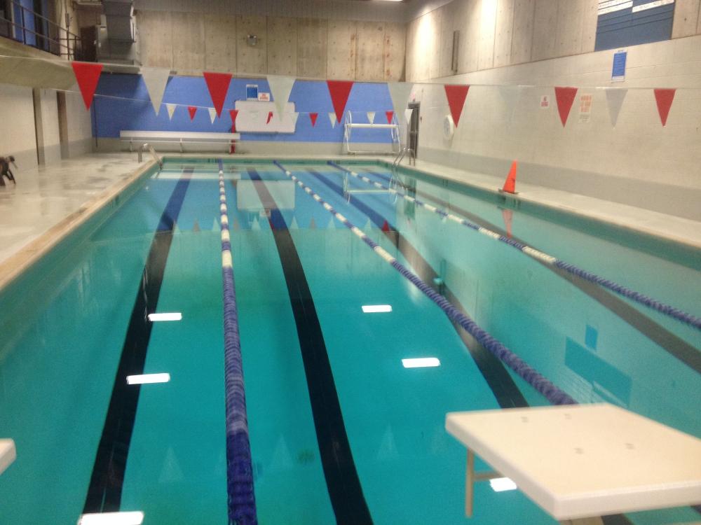 Distinctive Swimming Pools Inc