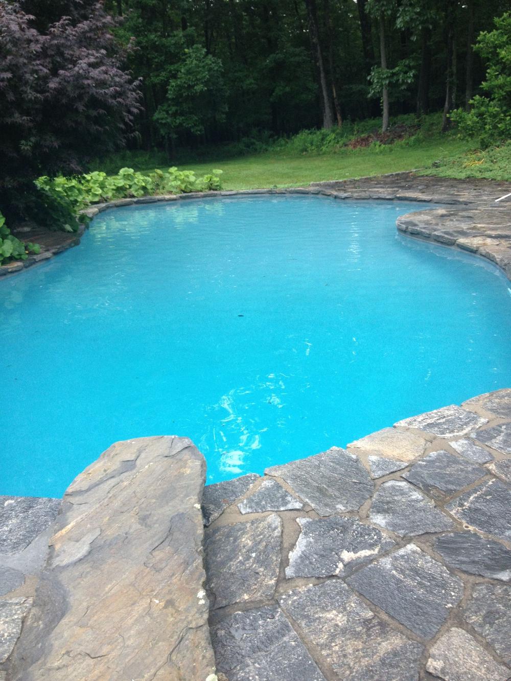 Distinctive Swimming Pools Inc