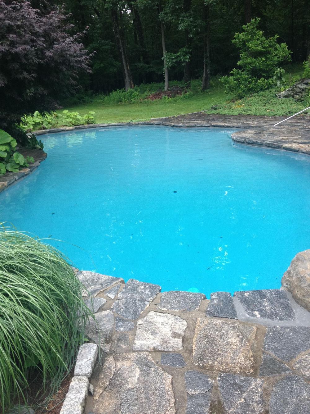 Distinctive Swimming Pools Inc