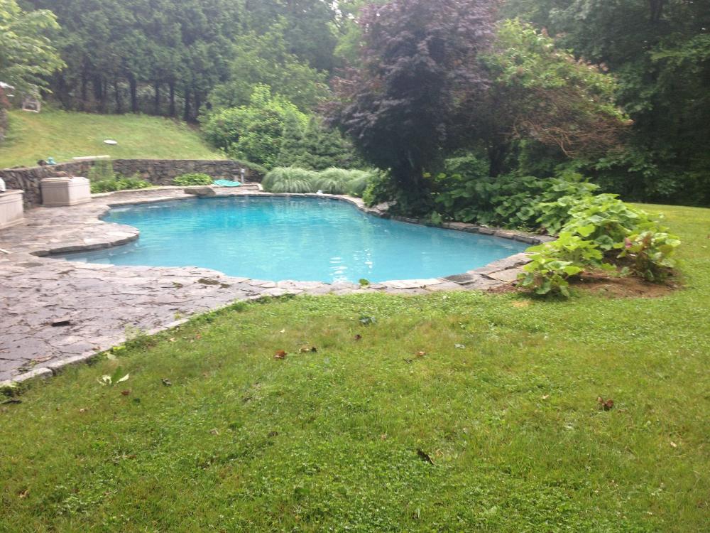 Distinctive Swimming Pools Inc