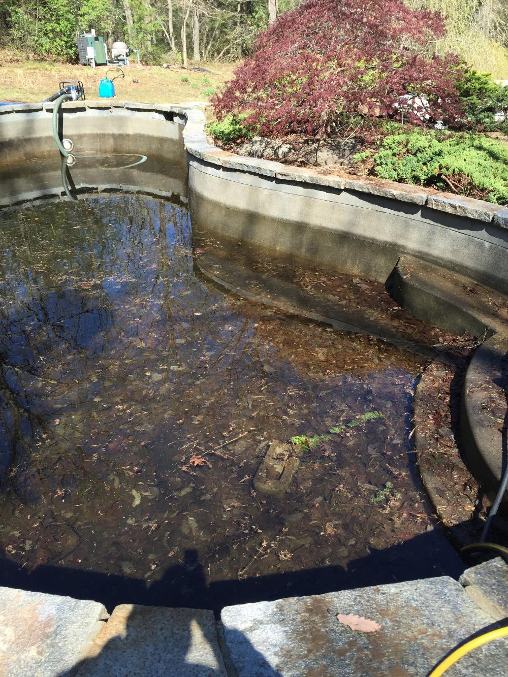 Distinctive Swimming Pools Inc