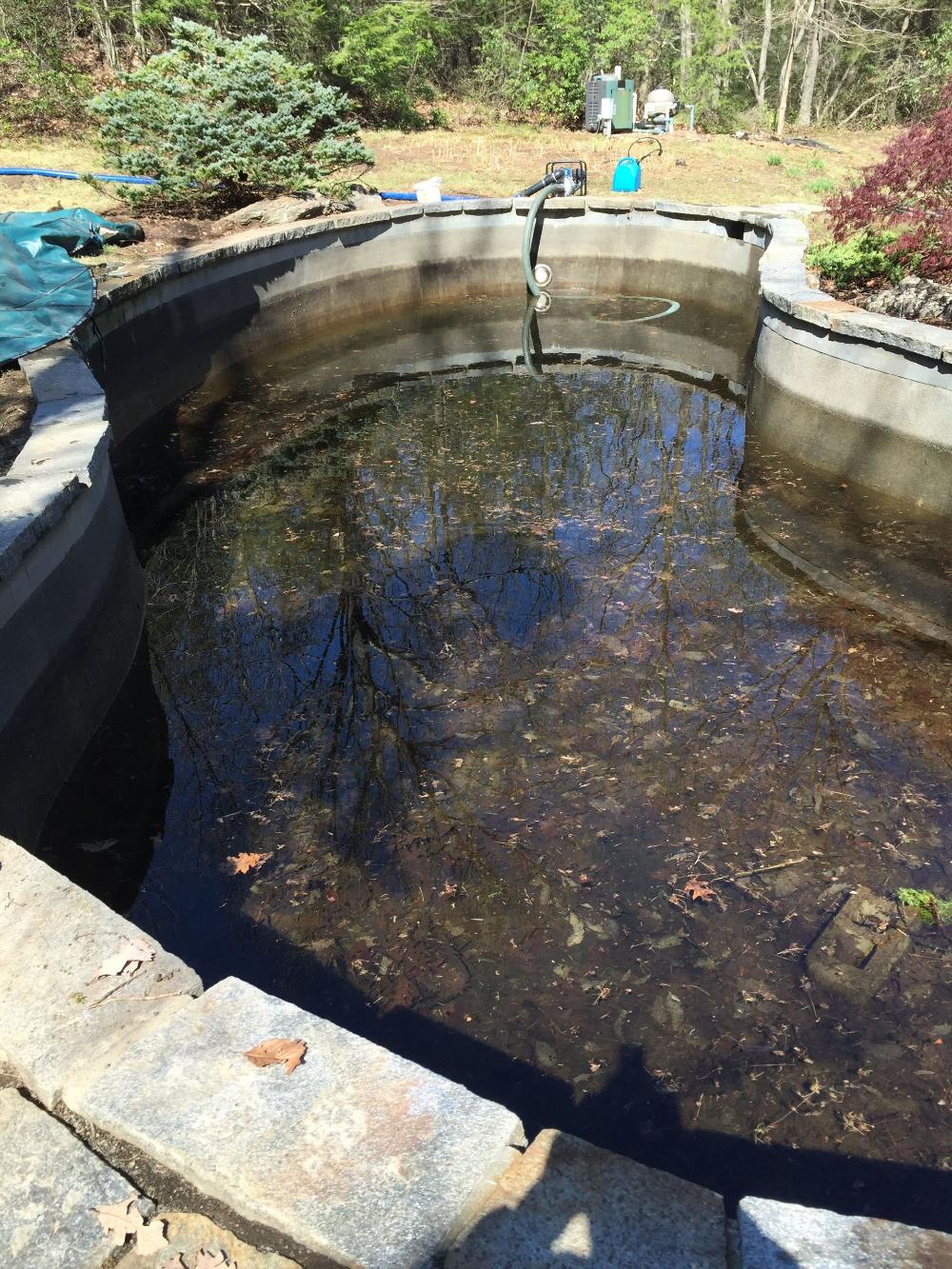 Distinctive Swimming Pools Inc