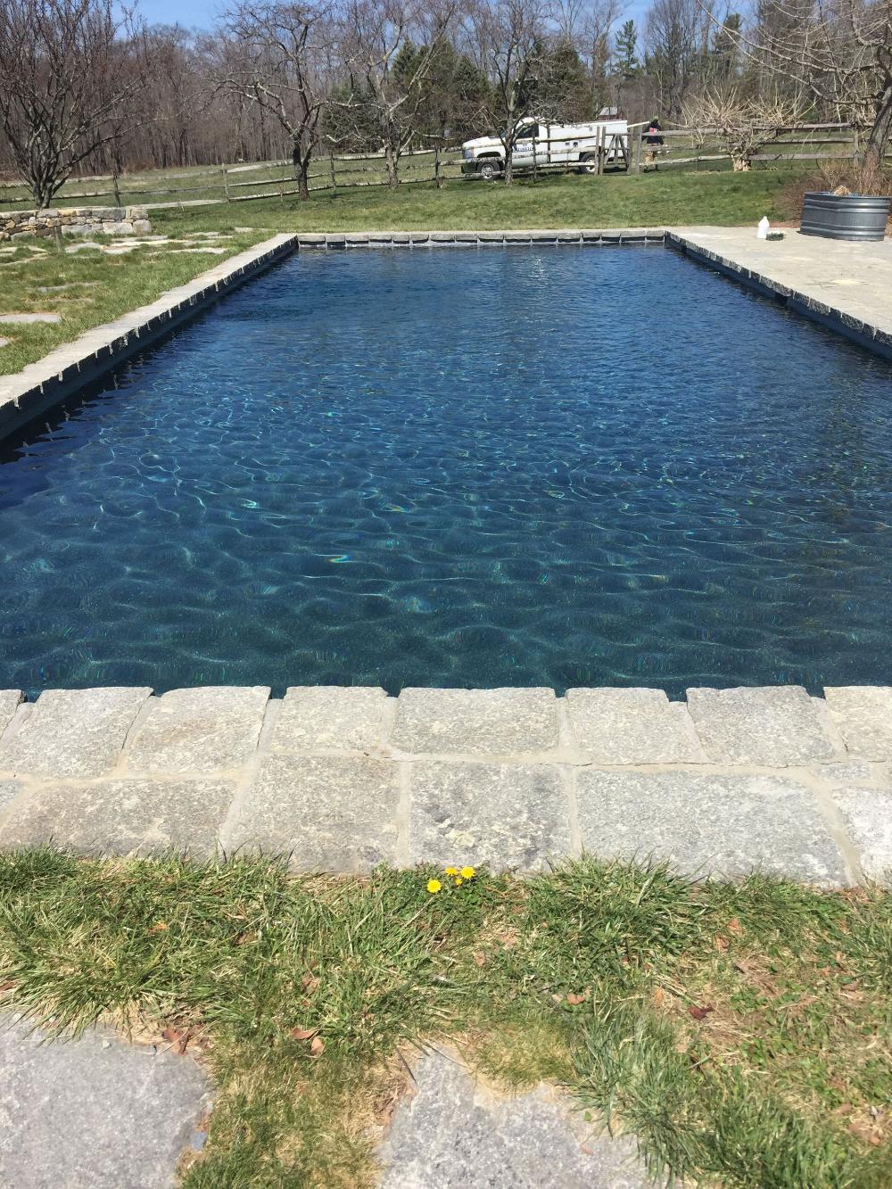 Distinctive Swimming Pools Inc