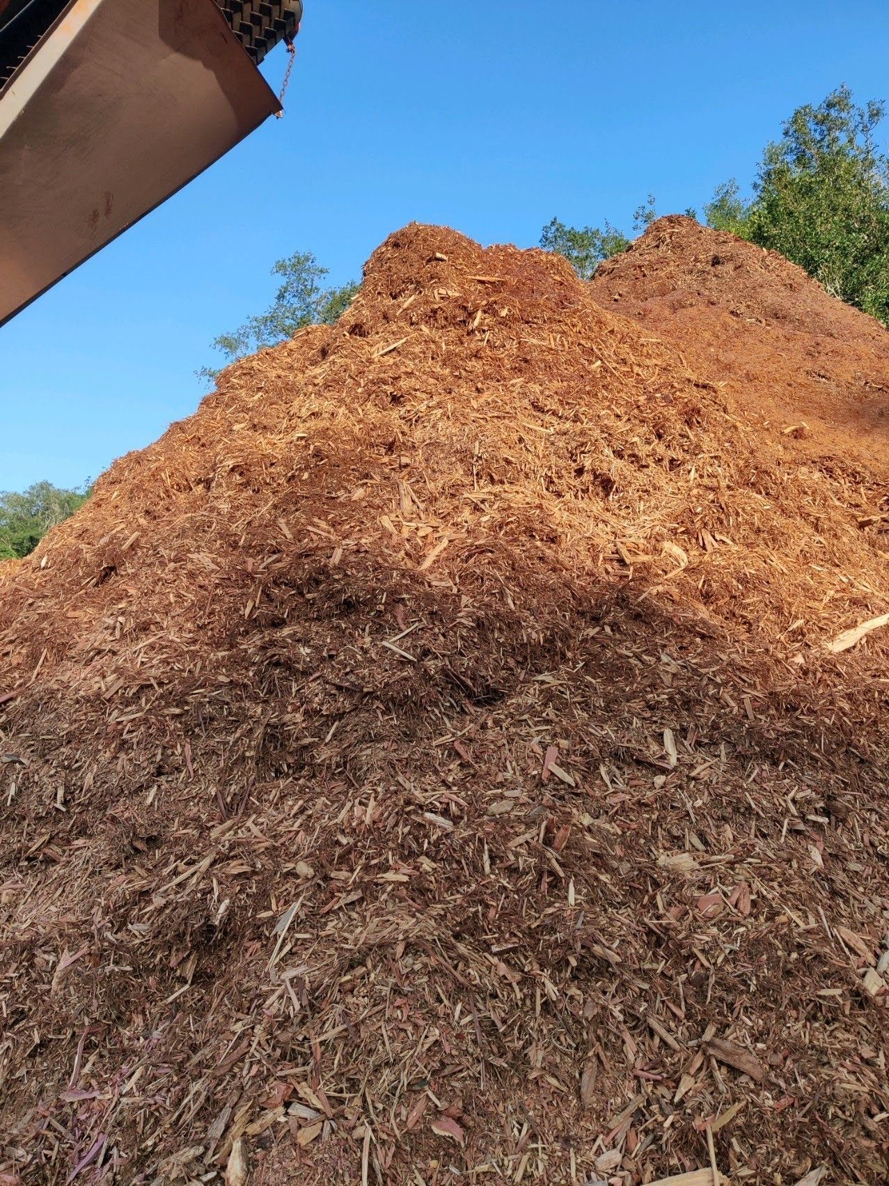 Cedar Mulch – Dade City, FL – Stutzman Brothers Property