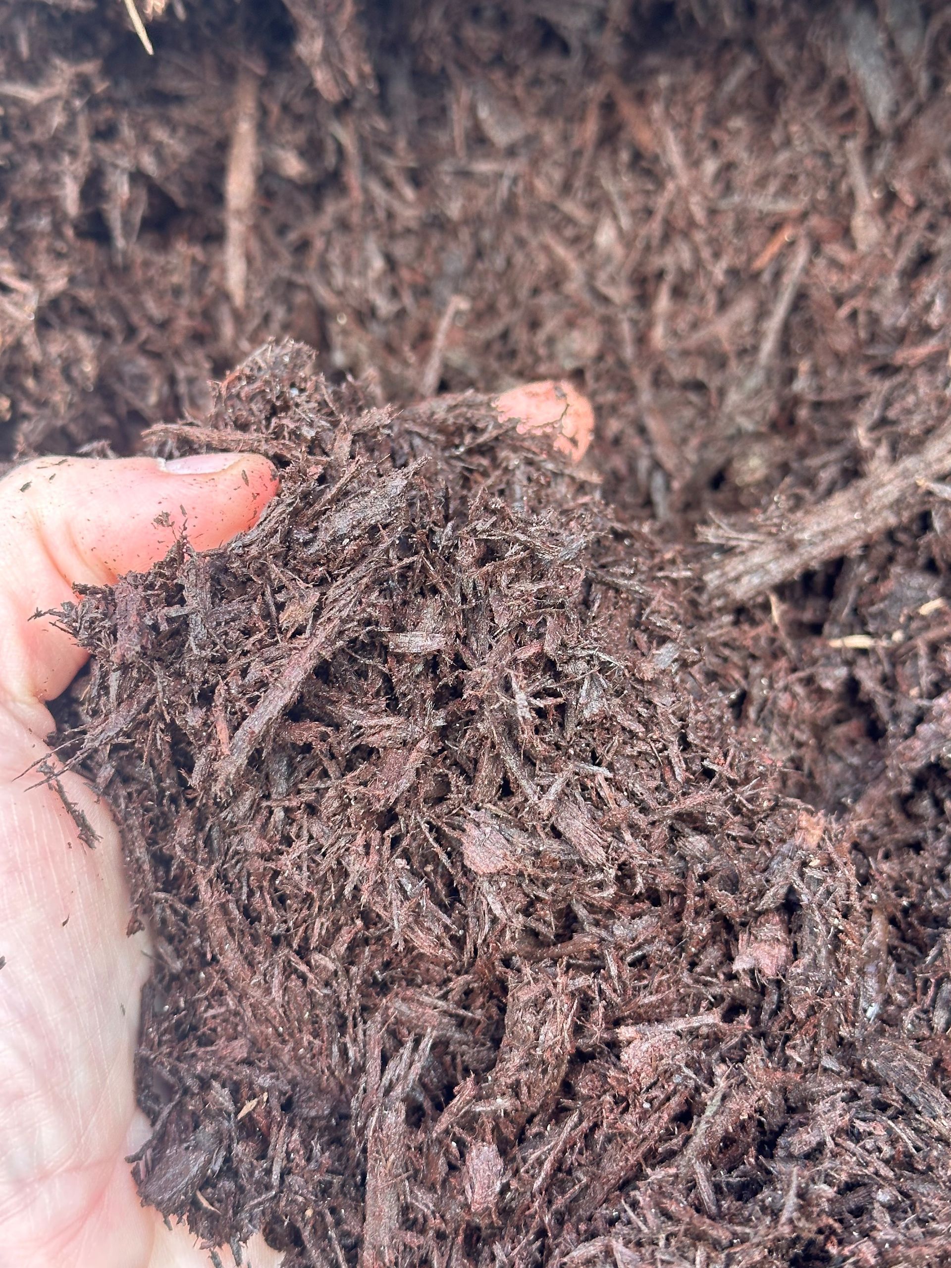 Dark Brown Mulch Close Up – Dade City, FL – Stutzman Brothers Property