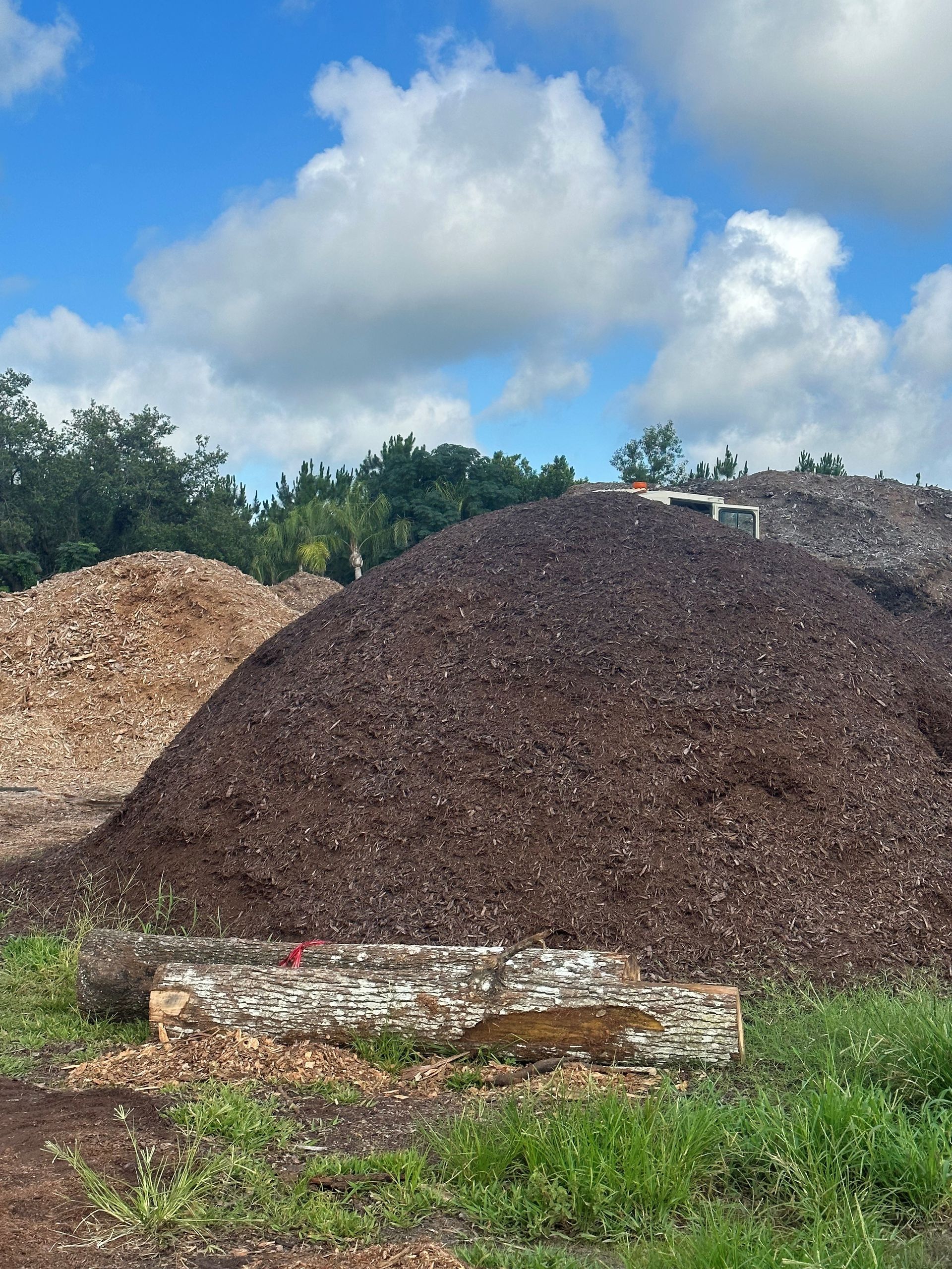 Dark Brown Mulch – Dade City, FL – Stutzman Brothers Property