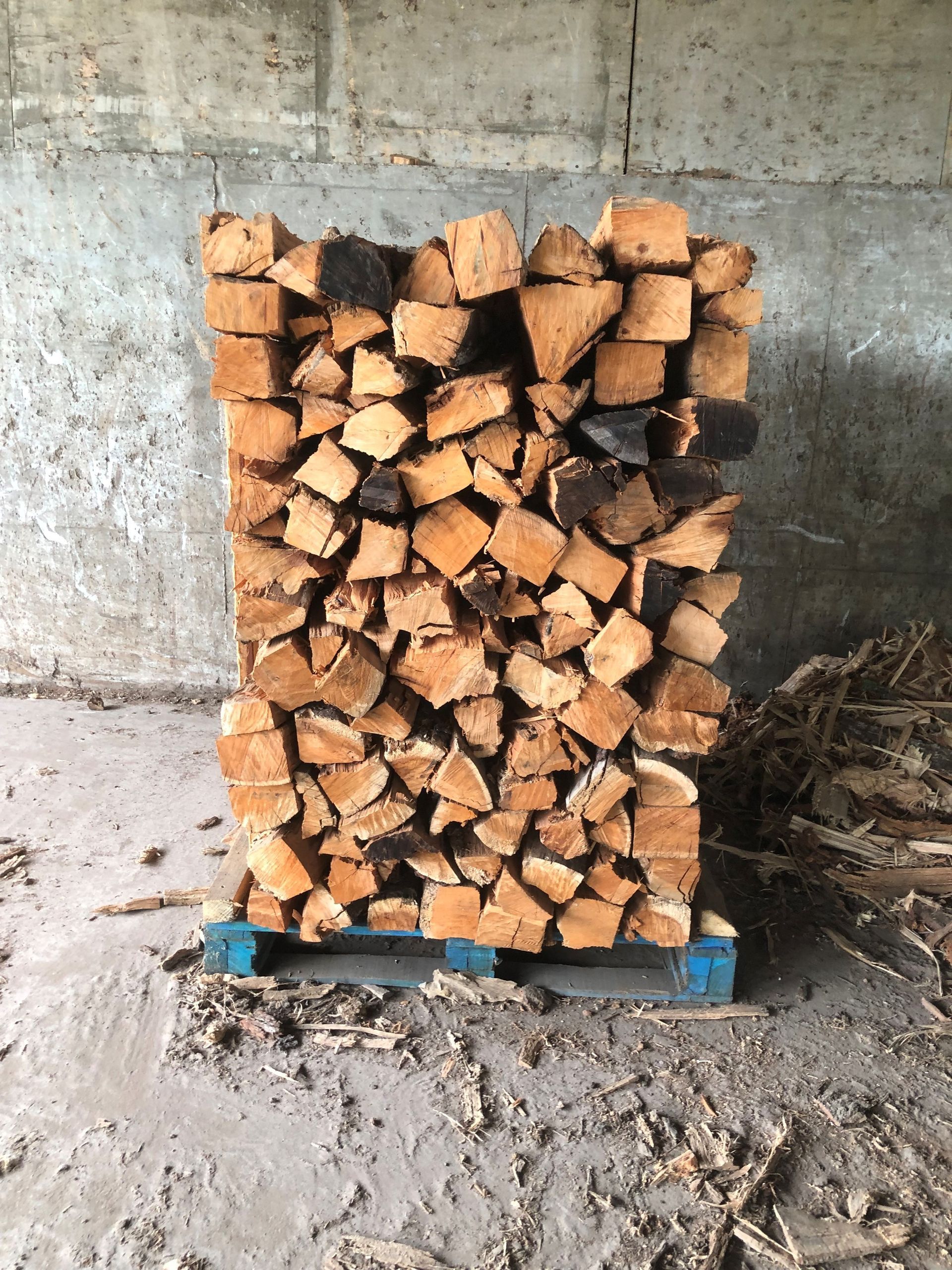 Hickory Fire Pallet– Dade City, FL – Stutzman Brothers Property
