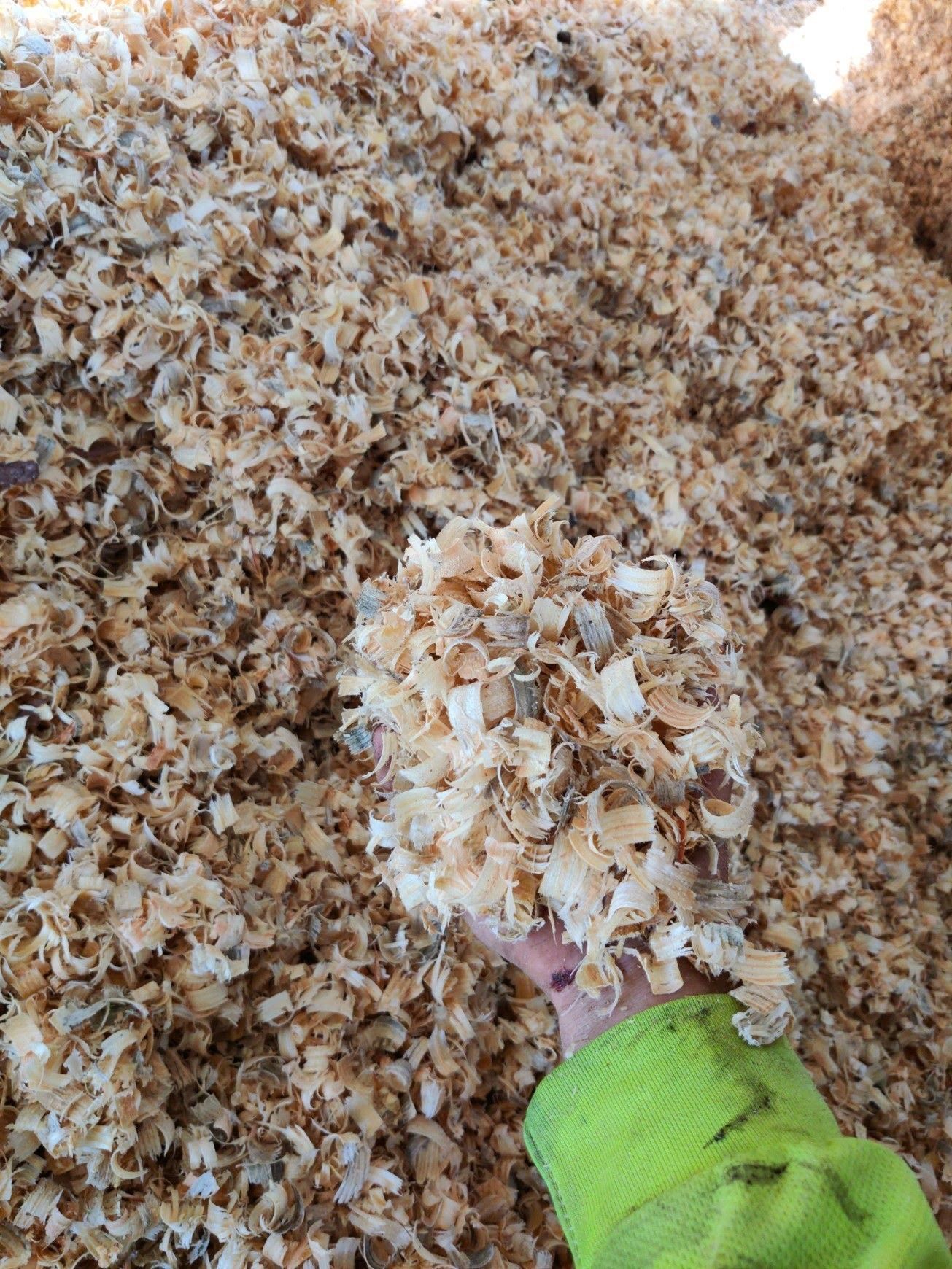 Pine Flakes – Dade City, FL – Stutzman Brothers Property