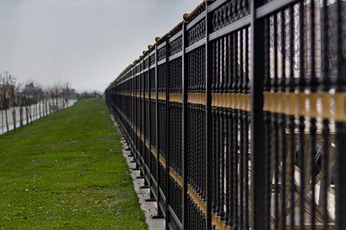 Black iron fence railings and grasse