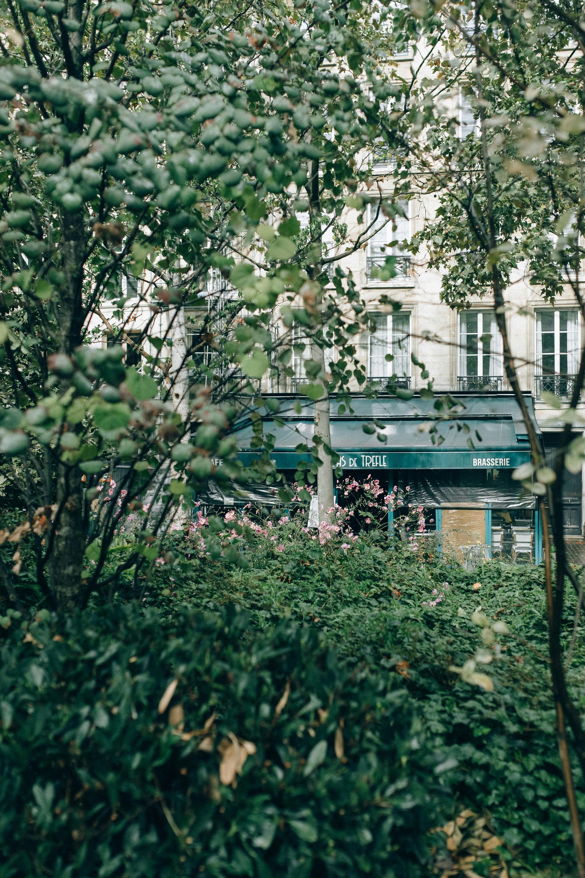 A building is visible through the trees in a park.