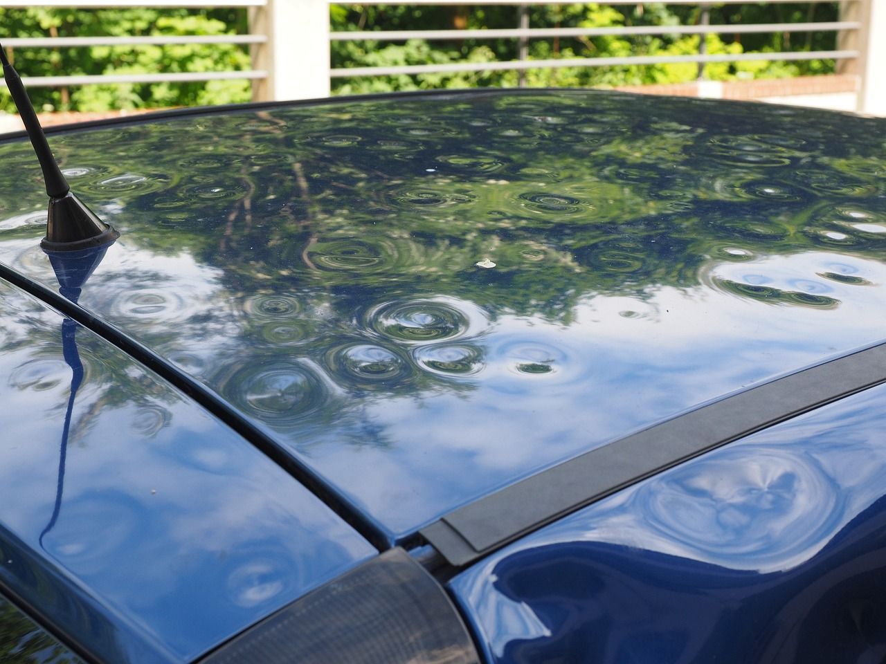 Blue car roof with numerous dents, reflecting trees and sky.