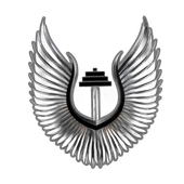 Black stylized wings surround a barbell logo.