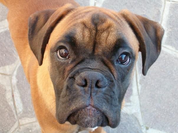 La burocrazia funeraria