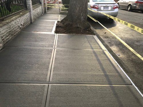 A car is parked on the side of a sidewalk next to a tree.