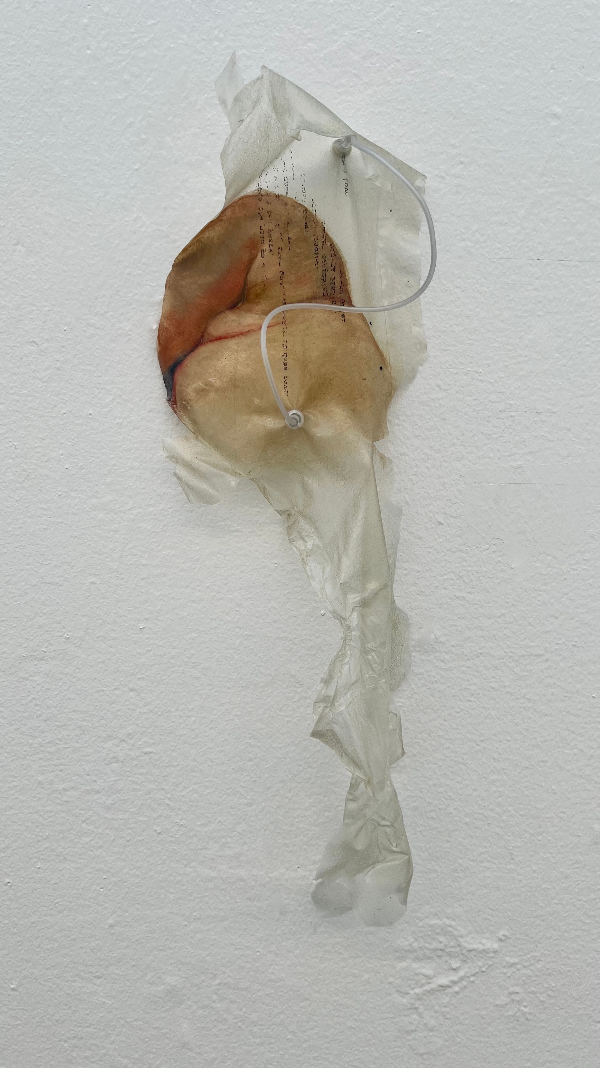  transparent skin-like bioplastic hangs on a wall. n the surface is a distorted image of a figure.