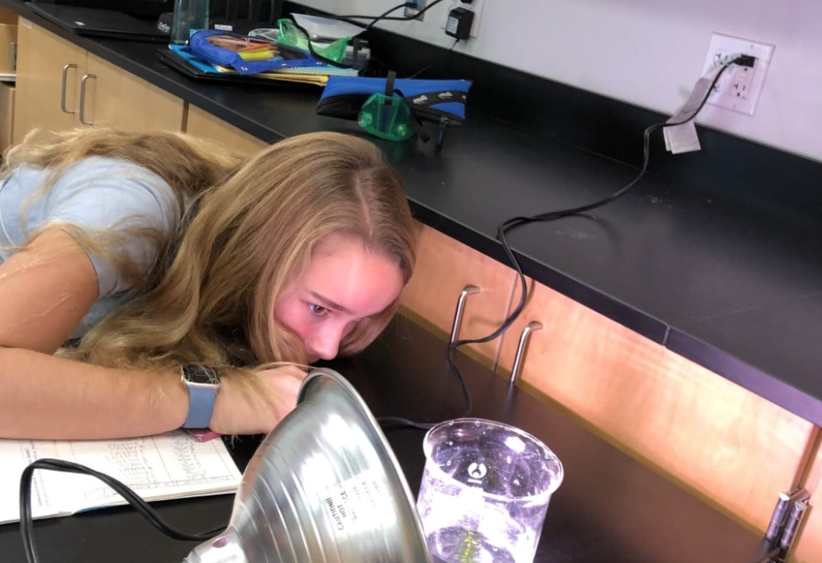 Blonde person leans over lab table, examining a plant in a clear cup with a lamp shining on it.
