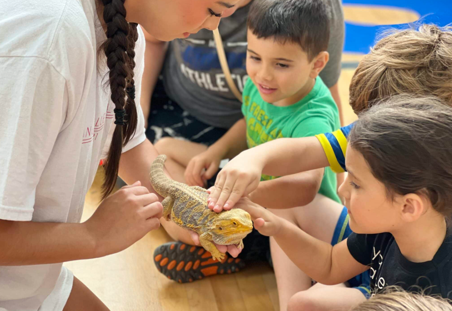 Children petting a bearded dragon with supervision in a room; the lizard is yellow.