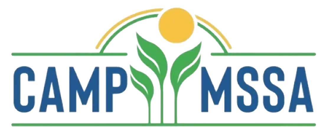 Logo for Camp MSSA, featuring text and green leaves with a yellow sun on a green outline.