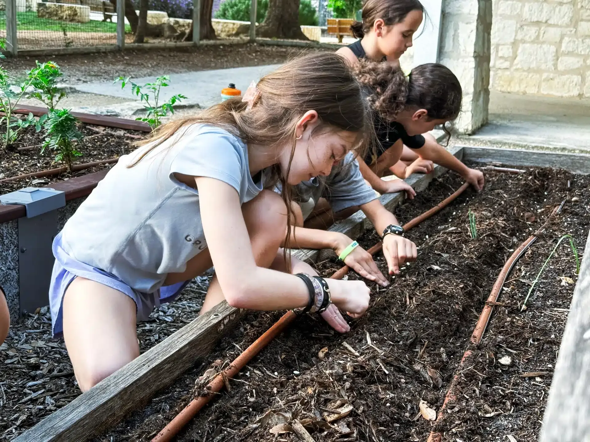 Three people planting in a raised garden bed with a brown irrigation system.