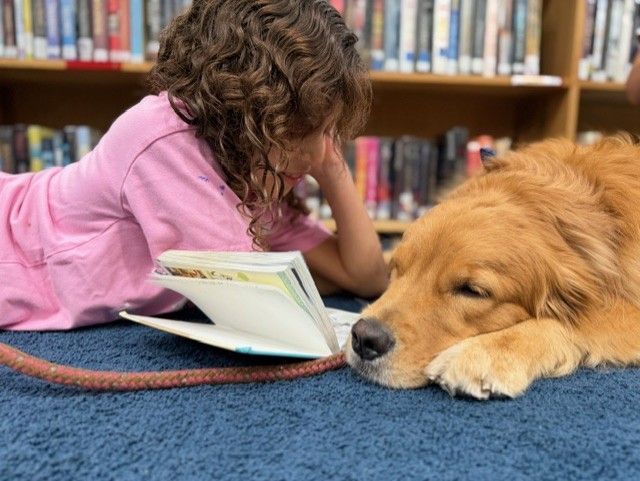 A girl lying on the floor with a book as a golden retriever sleeps next to her.