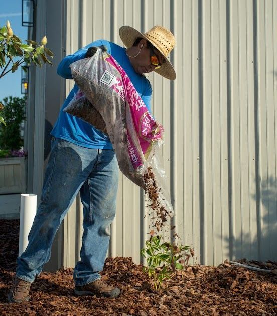 Residential Maintenance | Green Thumb Lawn & Landscape