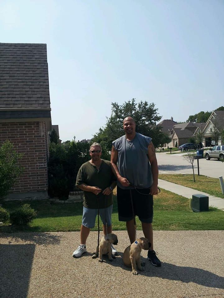 Two men standing with two puppies on a sunny day. Brick house in the background.