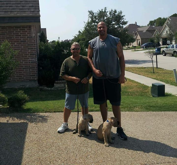 Two men standing with two tan puppies on leashes in a suburban neighborhood.