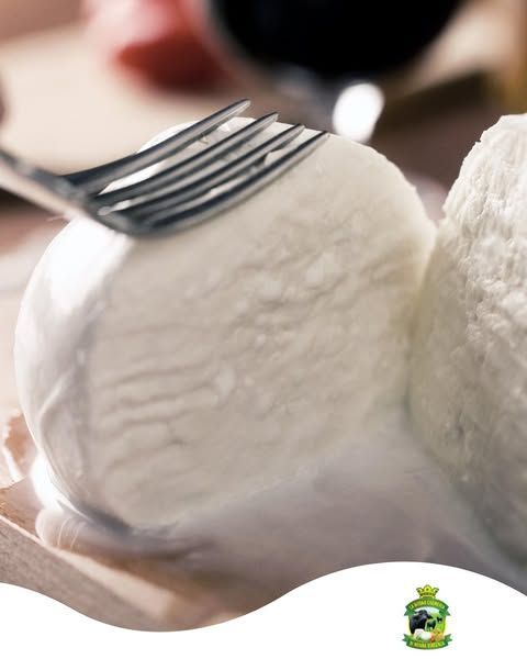 Primo piano di palline di mozzarella fresca, una infilzata con una forchetta, di colore bianco crema, su una superficie di legno.