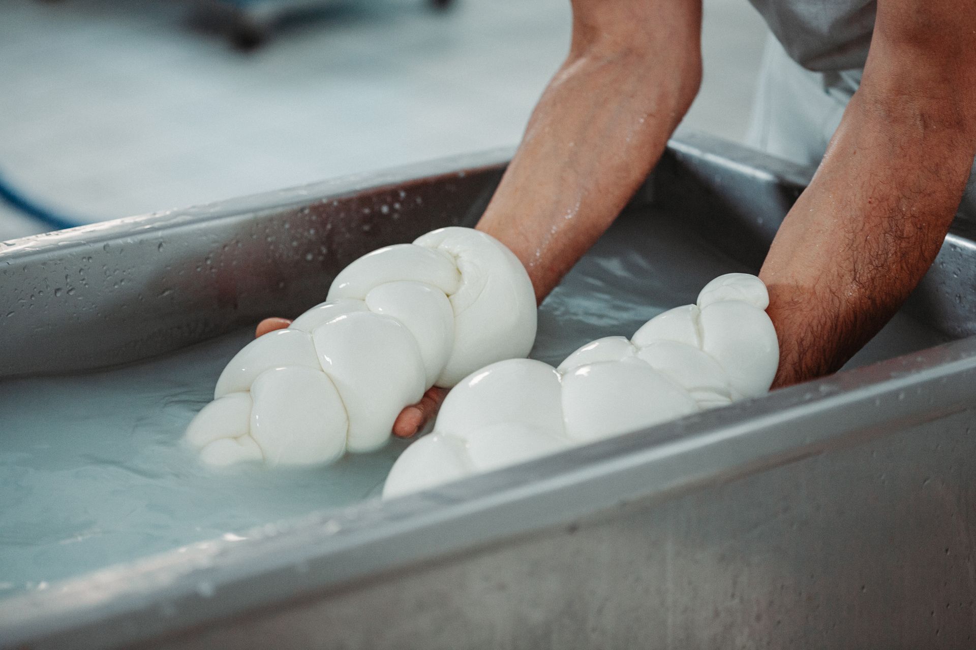 Persona che intreccia la mozzarella fresca in una vasca d'acciaio piena d'acqua.