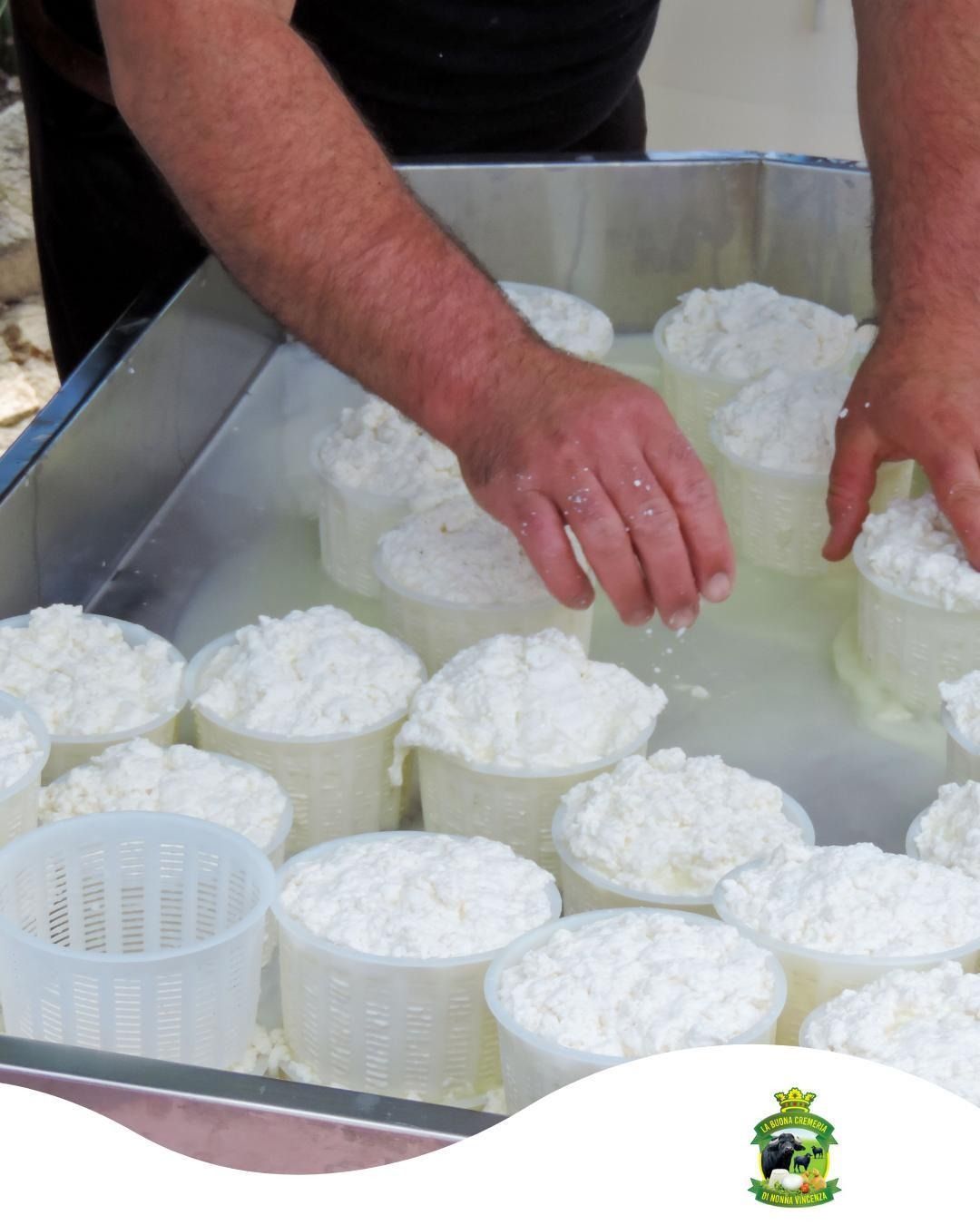 Uomo che modella formaggio fresco in stampi cilindrici in una vasca di metallo.