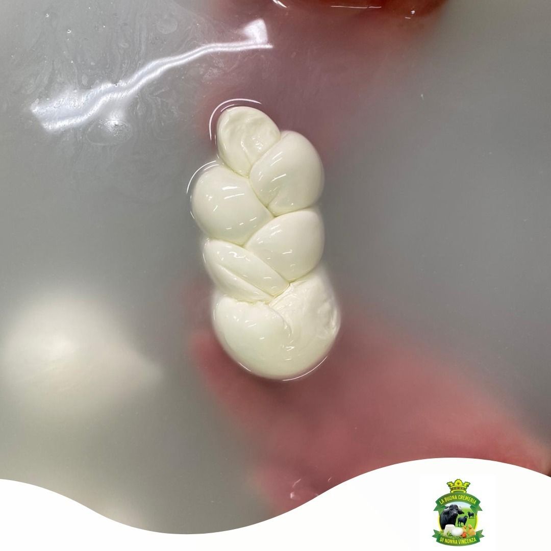 Mozzarella intrecciata nell'acqua, tenuta in mano. Bianca, riflettente e traslucida.