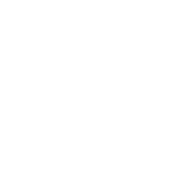 horse icon